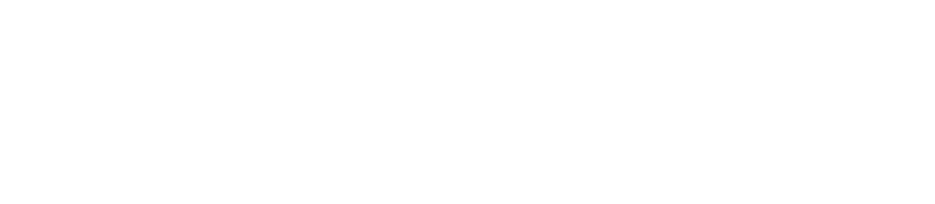 Fleming Martin